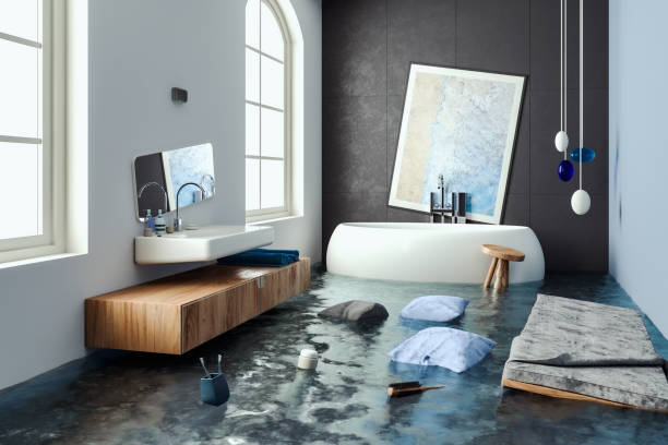 Best Residential water damage restoration  in Belgrade, MT