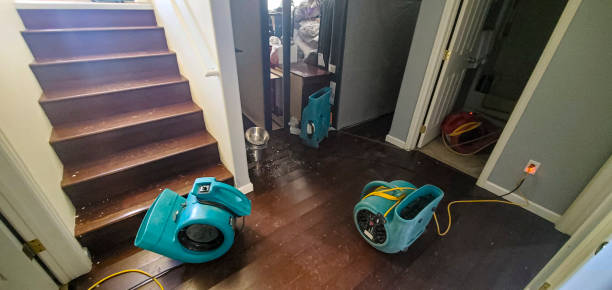 Best Emergency water damage restoration  in Belgrade, MT