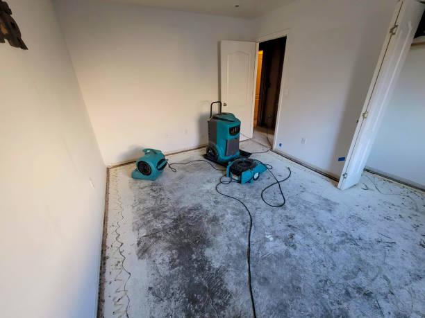 Reliable Belgrade, MT Water damage restoration Solutions
