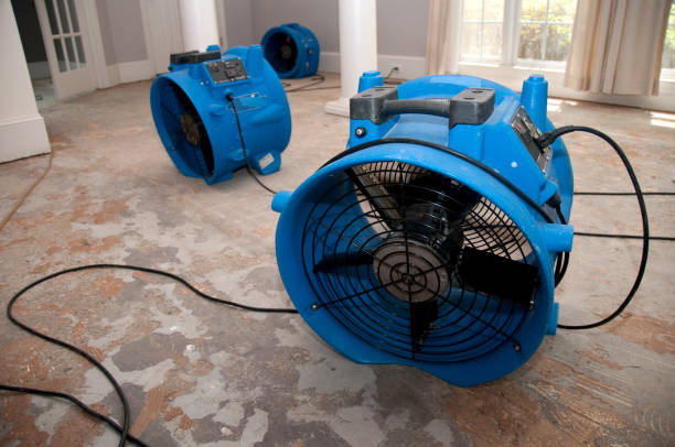 Best Water damage restoration near me  in Belgrade, MT