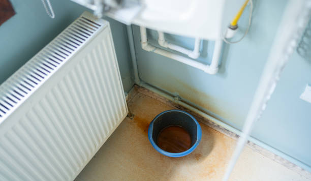 Best 24/7 water damage repair  in Belgrade, MT