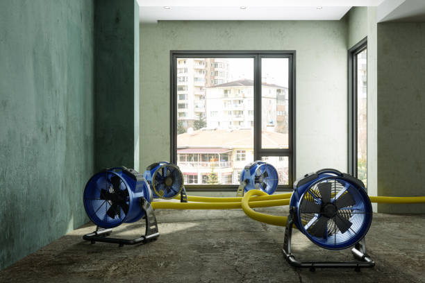 Best Mold removal after water damage  in Belgrade, MT