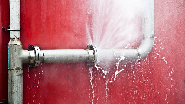 Best Professional water damage repair  in Belgrade, MT